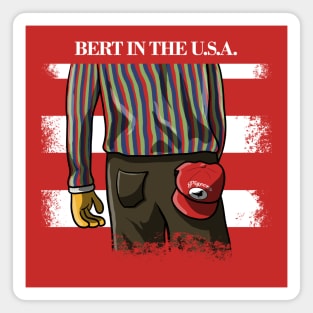 Bert in the USA Magnet